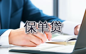 嘉峪关保单贷